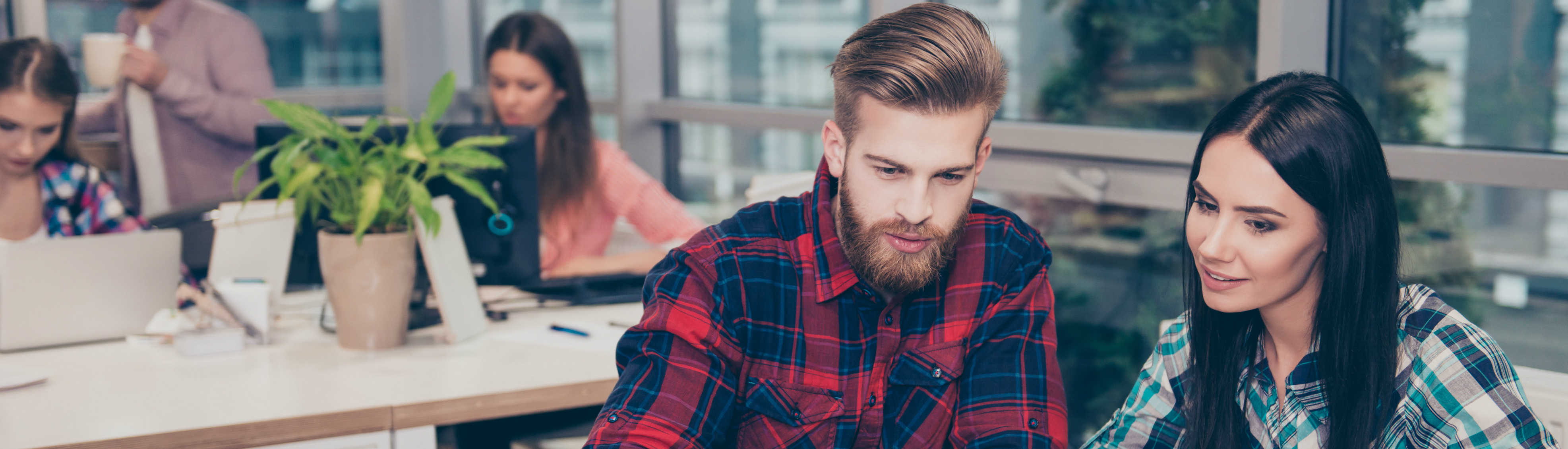 7 Popular Disciplines - Cheapest Bachelors You Can Study in the EU in 2022