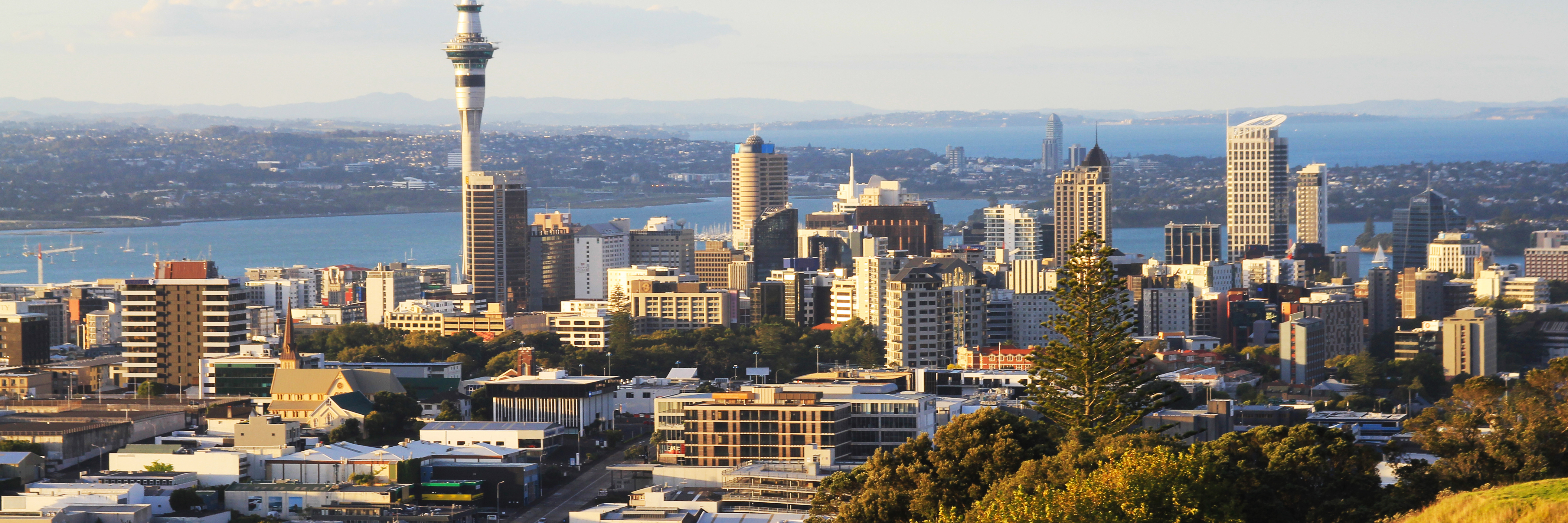 How to Apply to a University in New Zealand in 2022